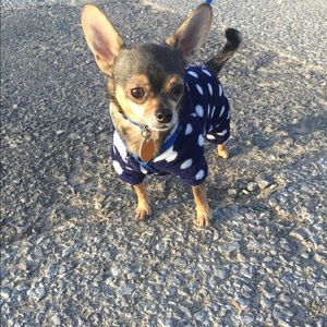 Meet your Posher, Yang